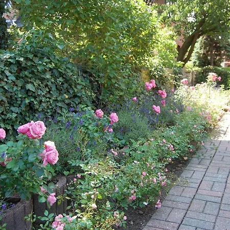 Schoenes-wohnen-am-suedstrand-fewo-2 *